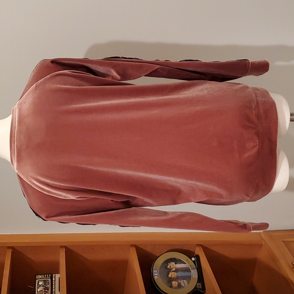 Hayley Elsaesser Red Blush Scorpion Velour Sweatshirt - Picture 7 of 9